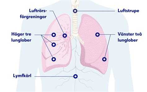lungcancer hur börjar